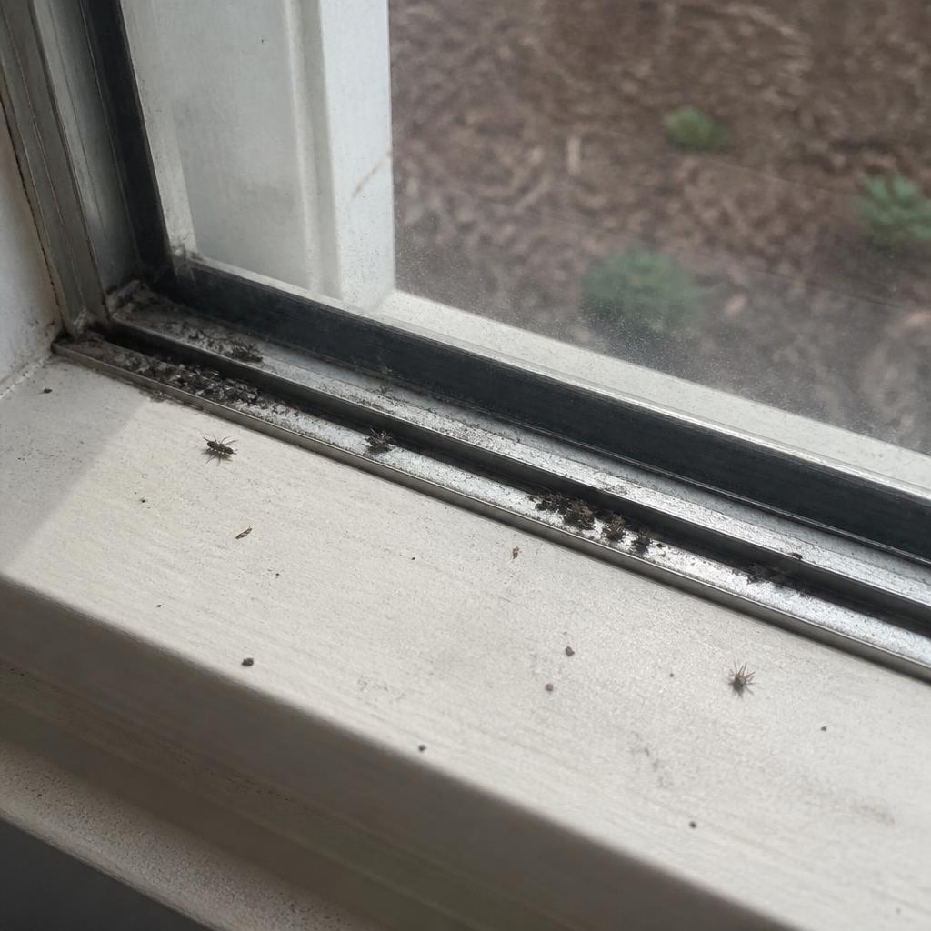 Interior window with dusty tracks and smudged glass before cleaning