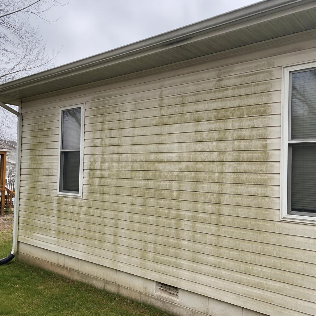 Vinyl house siding with green algae and grime streaks before soft washing in Moline, IL